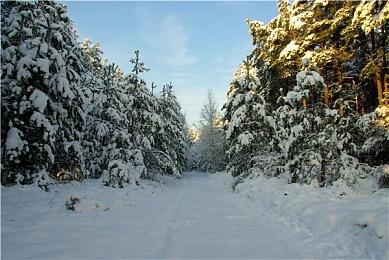 世嘉全球首家专卖店上海开业！游戏以及周边资料丰富